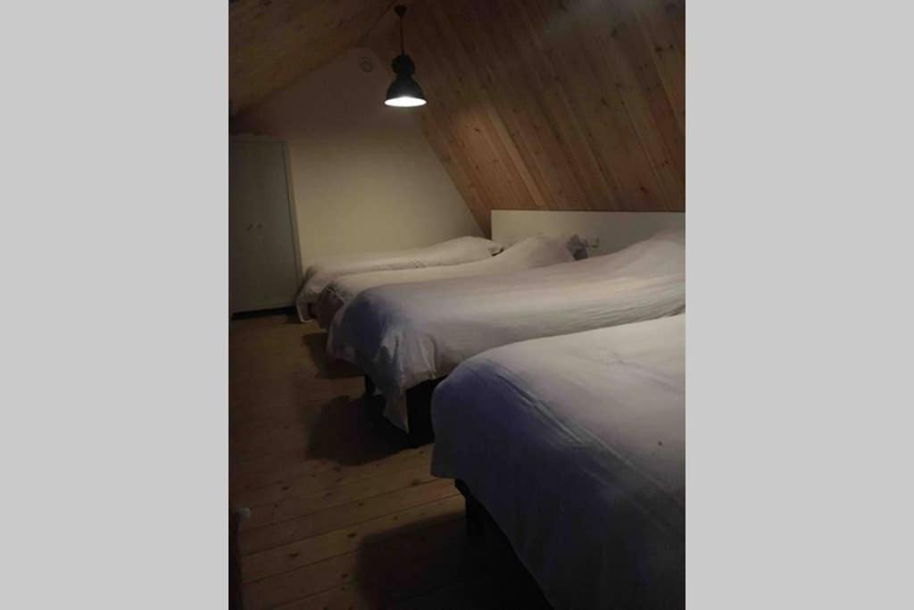 Ruim Appartement In Prachtige Fiets-Wandelomgeving アップカウデ エクステリア 写真